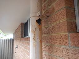 Building Inspections Perth Western Australia