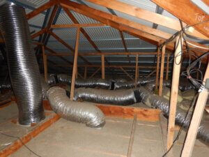 pest and building inspection perth